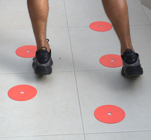 DISCO PLANO DE ENTRENAMIENTO