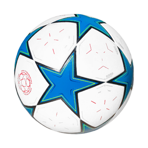 BALÓN PROFESIONAL CHAMPIONS #5