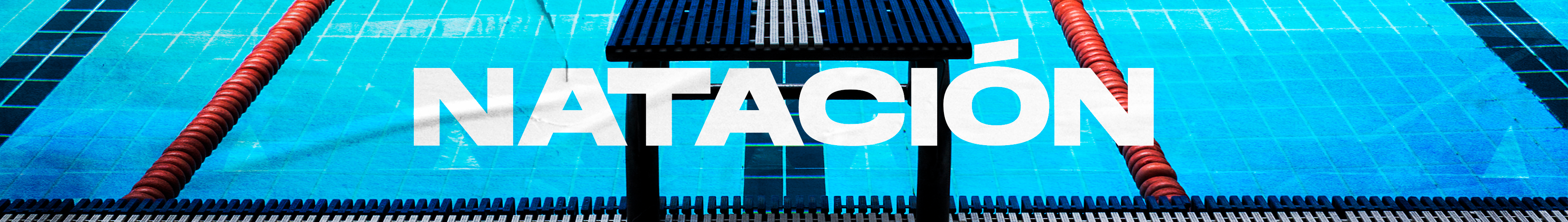 collection-banner-image